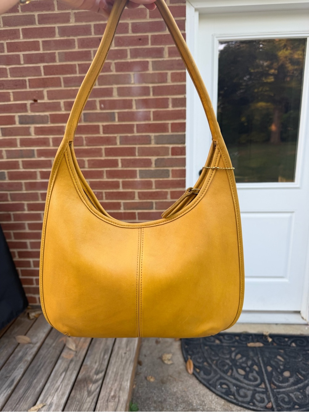 Vintage Coach Ergo 9025